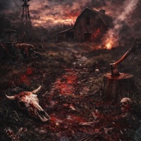 Leg work - Single - Dee Aura