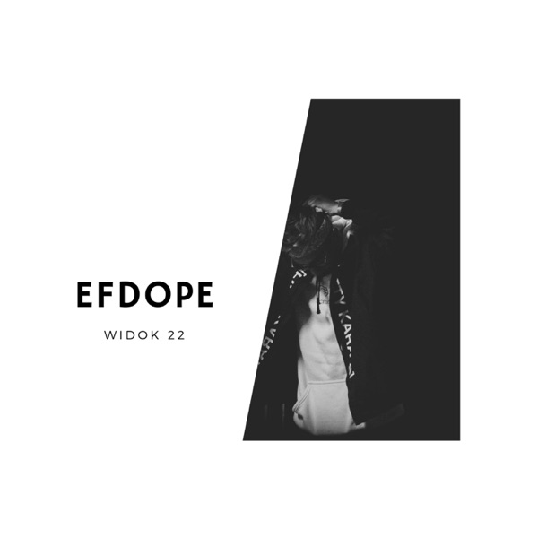 widok22