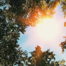 забей и забудь кухня & Armich