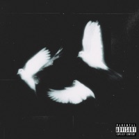 Your Ghost - Single - Euphoria Music