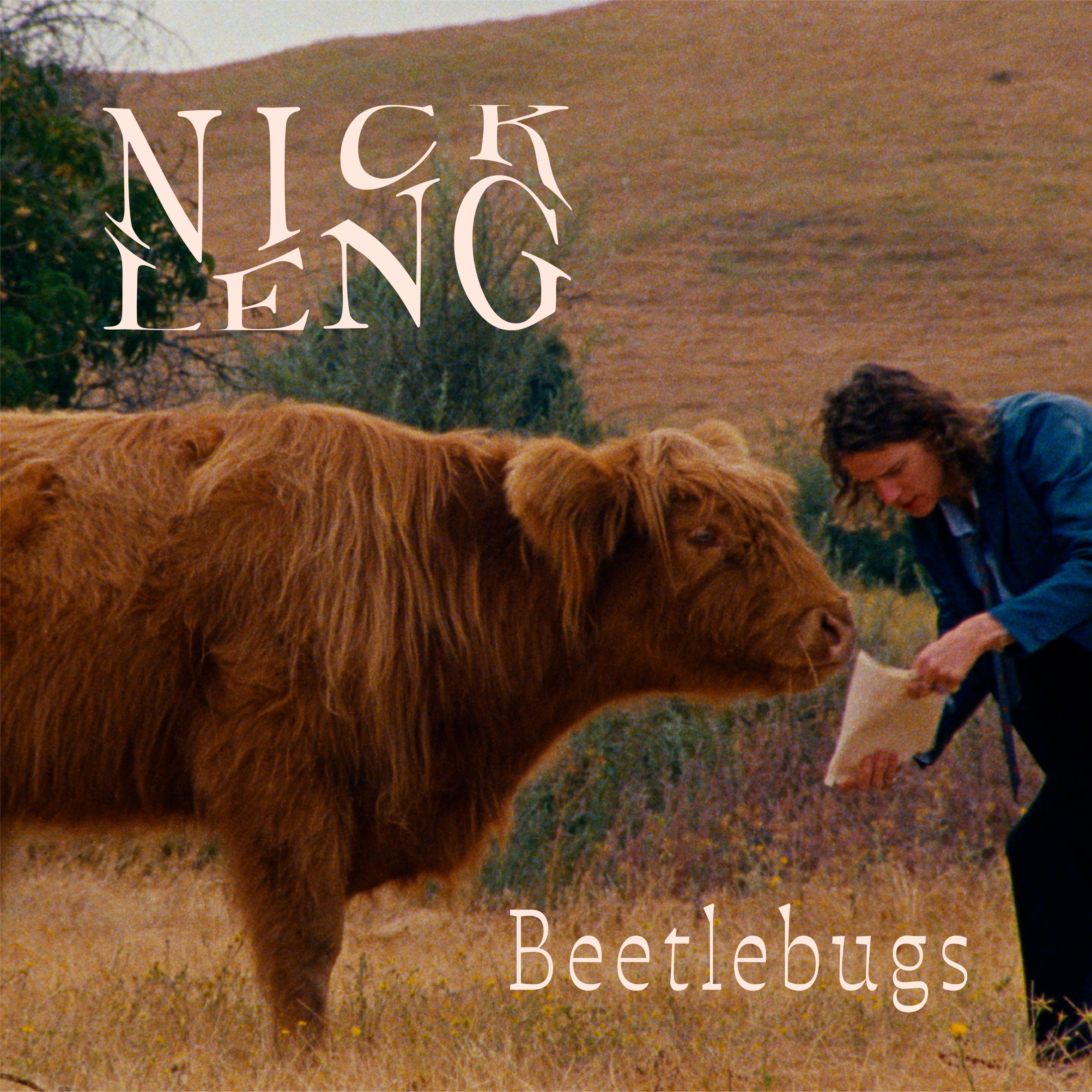 Beetlebugs - Single