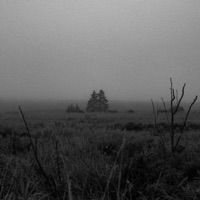 Nothing (Slow+Reverb) - Single - Hxvsfly