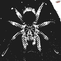 Araknofilia - Single - L-Pär