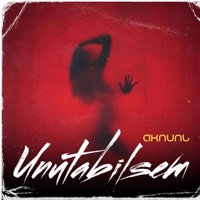 Unutabilsem - Single - AKNUNL