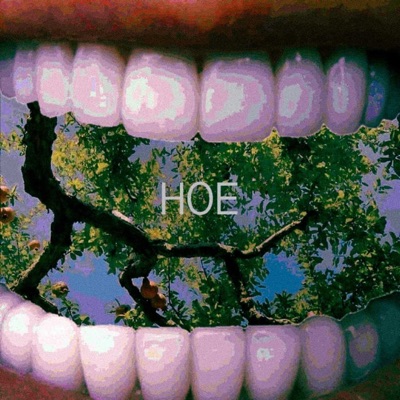 Hoe (feat. Leonardo Lee & Syklerboi) - Single