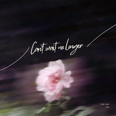 Can't wait no longer - Single
