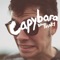 Pierre Bensusan - Capybara lyrics