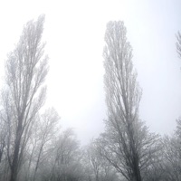 Lost Innocence - Single - ami & Staarz