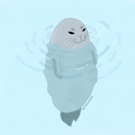 FOCA Bradd Lee