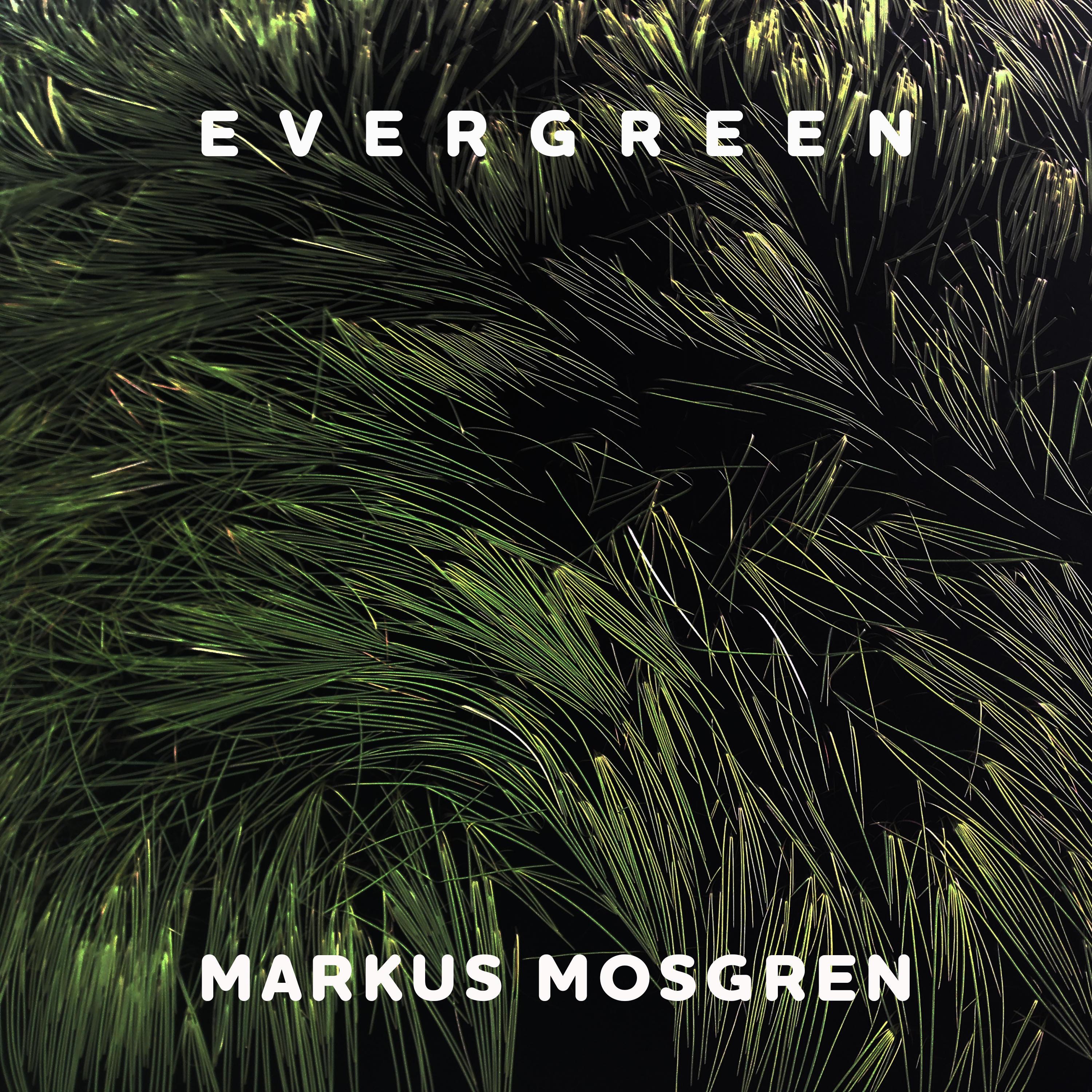 Evergreen - Single