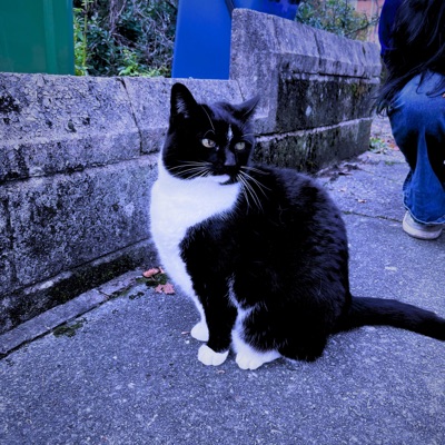 Ra's al Ghul - Single