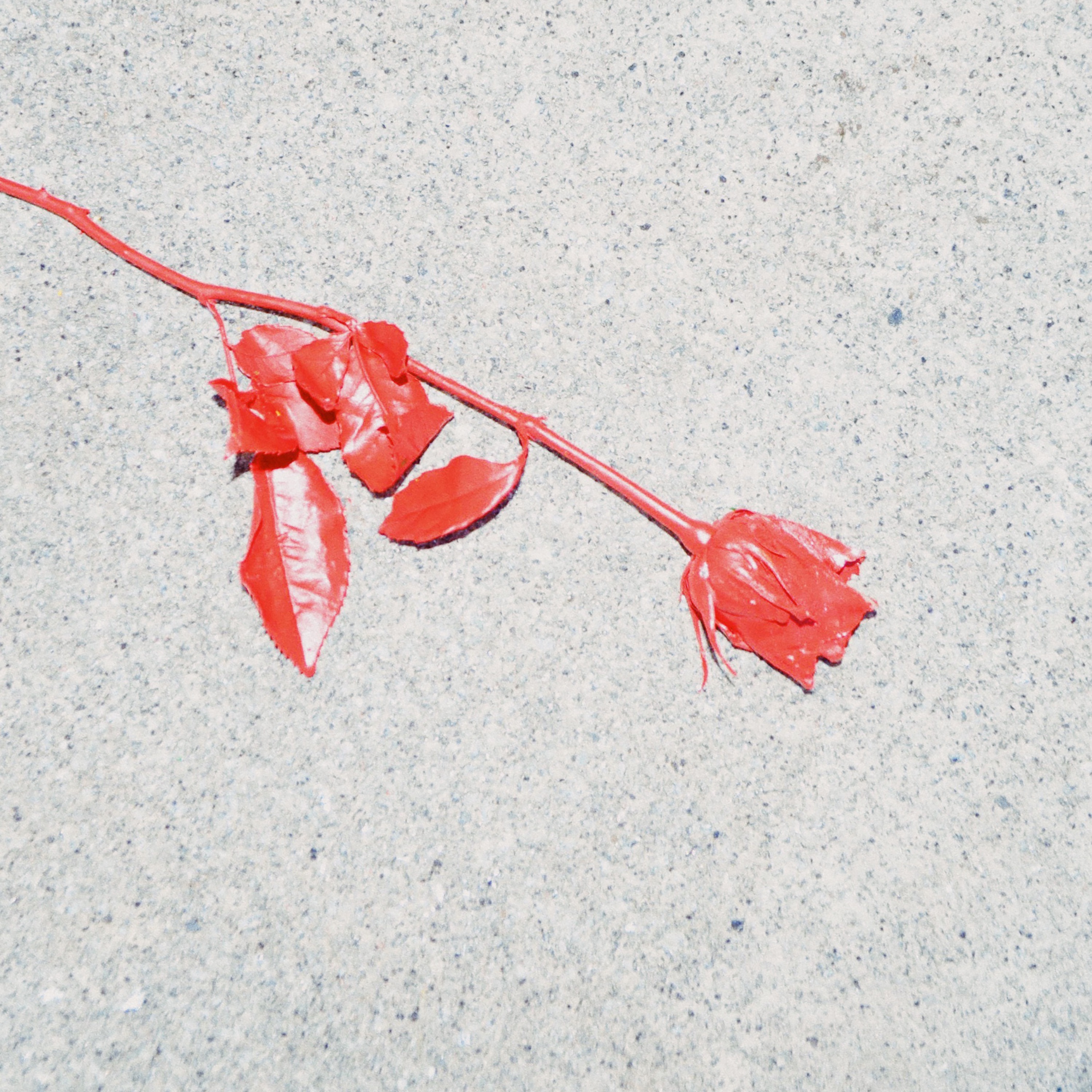 Sunkissed Pools - Single