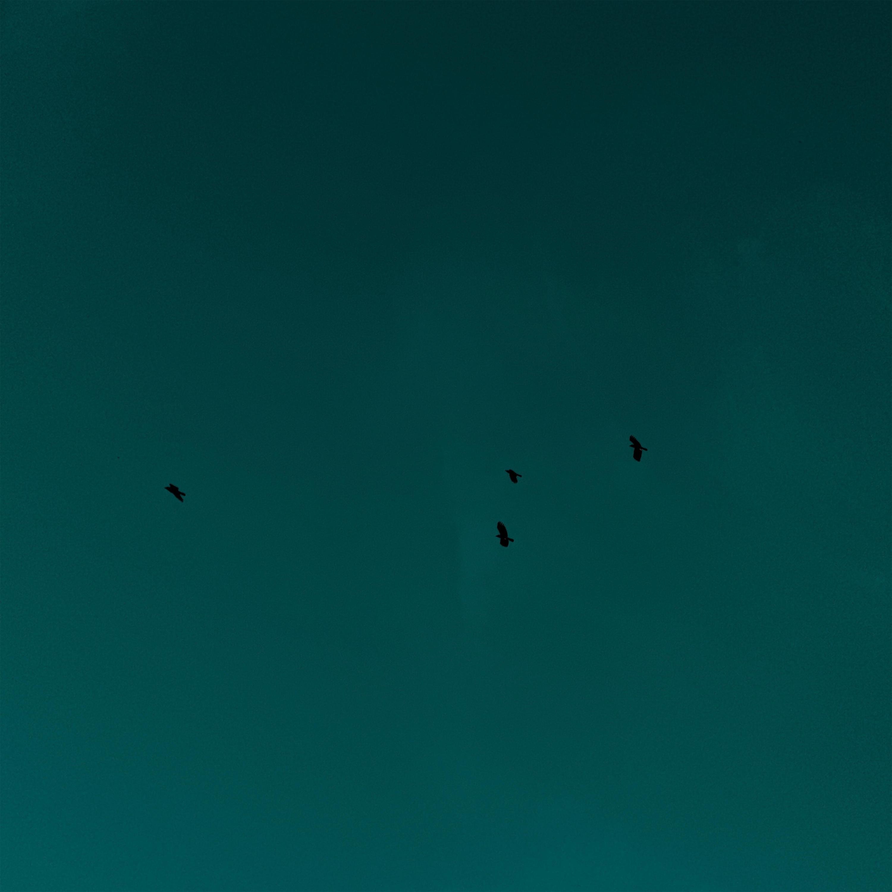 Lord Open My Eyes - Single