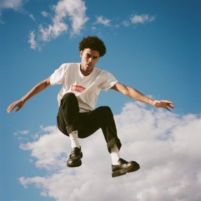 ICARUS - Single