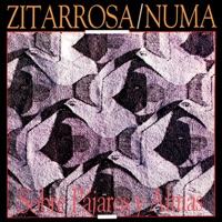 Sobre Pájaros y Almas - Alfredo Zitarrosa & Numa Moraes