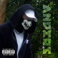 Anders - Single - Xam651