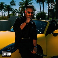 VIILLAINY - Iismaill