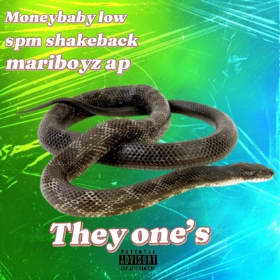 They one's (feat. Spm Shakeback & mariboyz ap) - Single