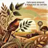 Feliciano Amaral - O Amor de Deus É Singular
