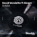 Unidos para la Musica (feat. Akram) [Radio Edit] - David Vendetta