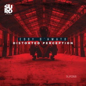 Distorted Perception - Single