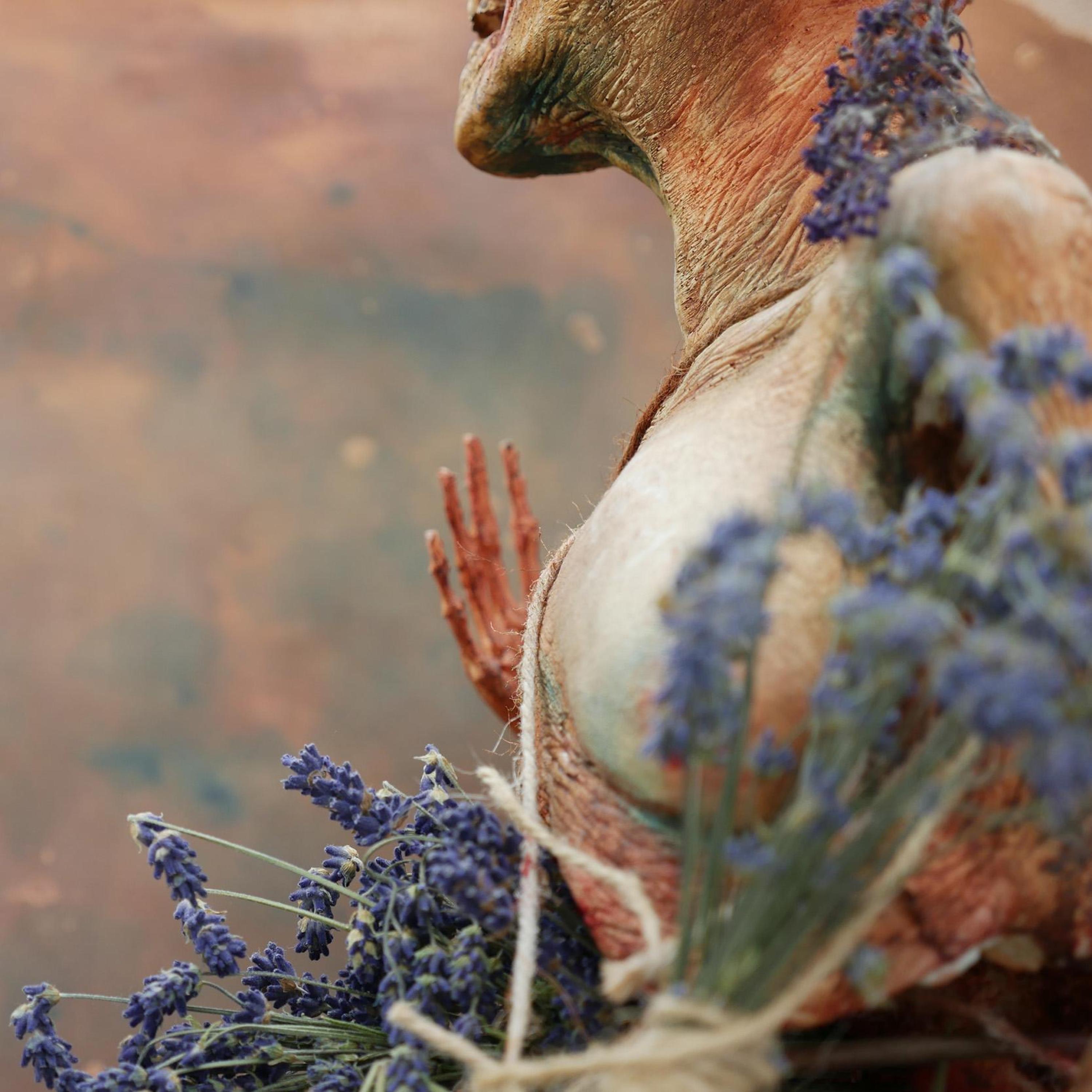 An Adornment of Light - Single