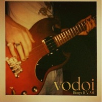 Vỡ Đôi (feat. ViAM) - Single - Honyx