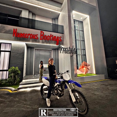 Numerous Bootings (Freestyle) - Single
