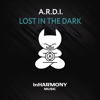 Lost in the Dark - Single