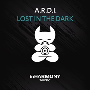 Lost in the Dark - Single