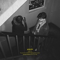 The Genesis - Max Beyer & Chidi Digital