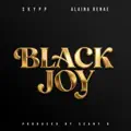Black Joy 