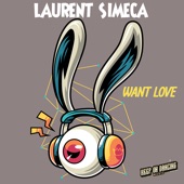 Want Love artwork