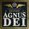 Agnus Dei (Benny Benassi &amp; BB Team Remix)