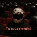Te Caut