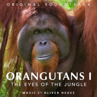 Orangutans I - The Eyes of the Jungle (feat. Rafael Jovanovic & Steffen Brinkmann) [Original Motion Picture Soundtrack]