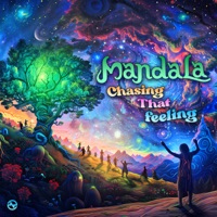 Chasing That Feeling - Single - Mandala