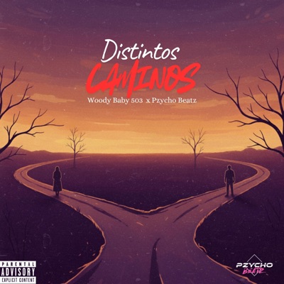 Distintos Caminos - Single