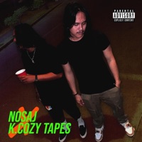 At Peace (feat. K. Cozy) - Single - NOSAJ