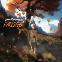 Something's Wrong :( - Single - KILLSMITTY