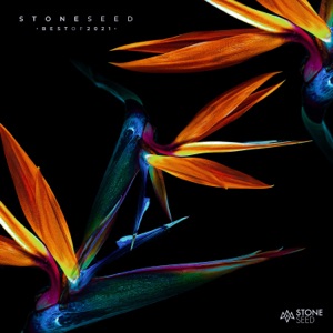Stone Seed - Best Of 2021