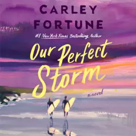 Our Perfect Storm (Unabridged)