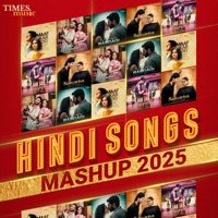 Hindi Songs Mashup 2025 - Single - Mauvision, Soham Naik, Laqshay Kapoor & Deedar Kaur