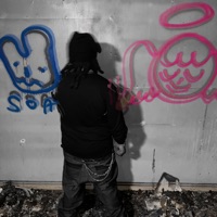 Waste No LiNe - Single - Reddo