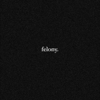 felony (feat. YUNGSXD & NUUNA) - Single
