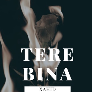 TERE BINA (feat. FARHAAN)