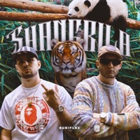 Shangrila - Single - Bubi Flex, Efenel & FNL ZONE