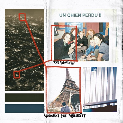 Un Chien Perdu - Single