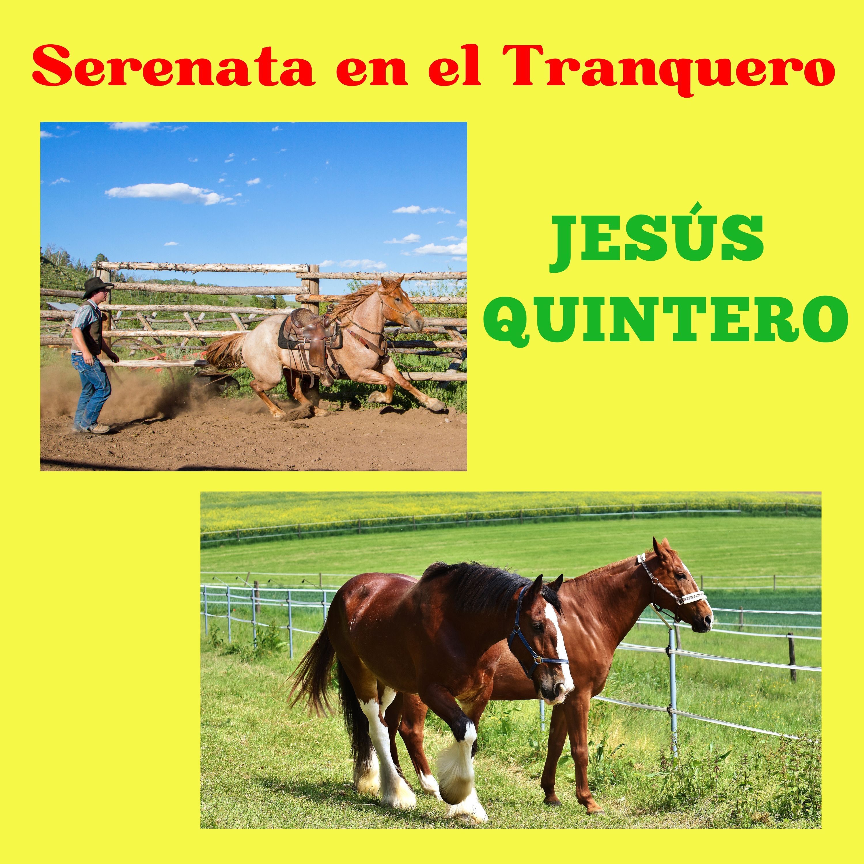 Serenata en el Tranquero