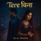 Tere Bina - Dj Aj Muzyk lyrics